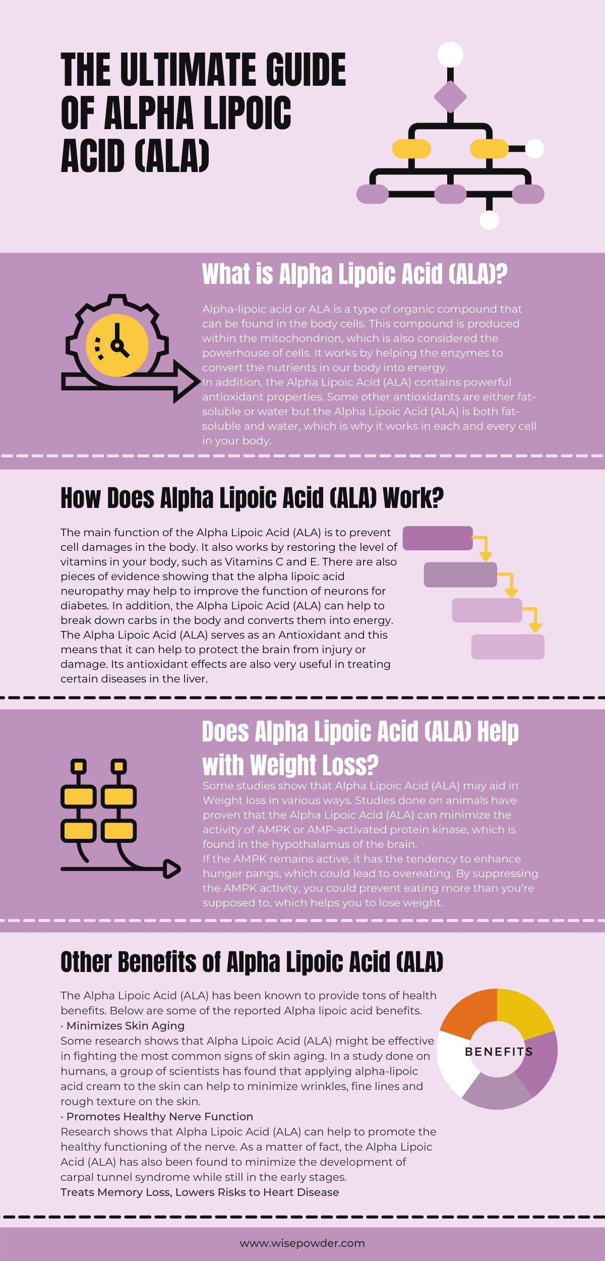 Infogram 1 Asam Lipoic Acid (ALA) XNUMX